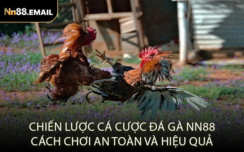 Chiến lược cá cược đá gà Nn88 Cách chơi an toàn và hiệu quả