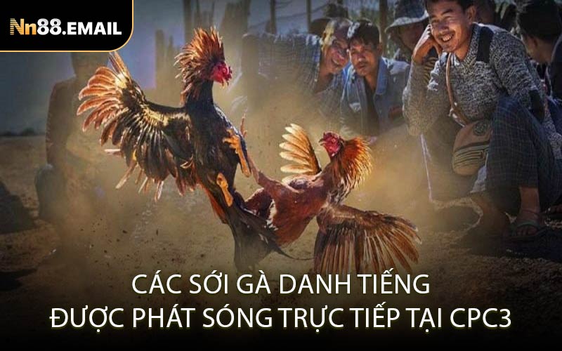 Các Sới Gà Danh Tiếng Được Phát Sóng Trực Tiếp Tại CPC3